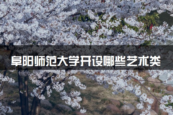 阜阳师范大学开设哪些艺术类专业 什么专业前景好