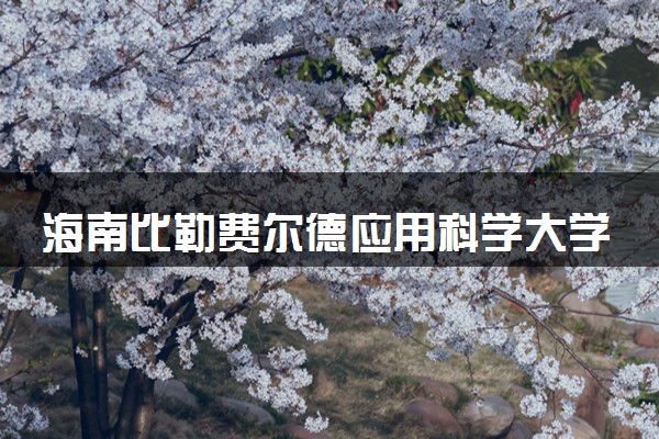 海南比勒费尔德应用科学大学2025录取分数线整理 最低多少分可以考上