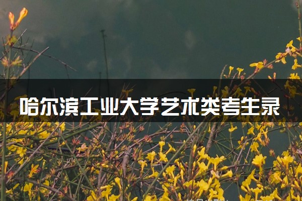 哈尔滨工业大学艺术类考生录取规则是怎样的 有哪些要求