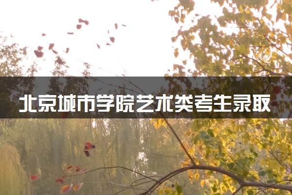 北京城市学院艺术类考生录取规则是怎样的 有哪些要求