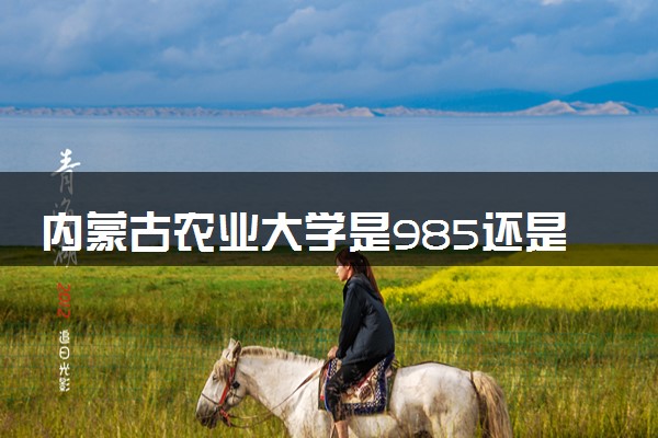 内蒙古农业大学是985还是211 含金量怎么样