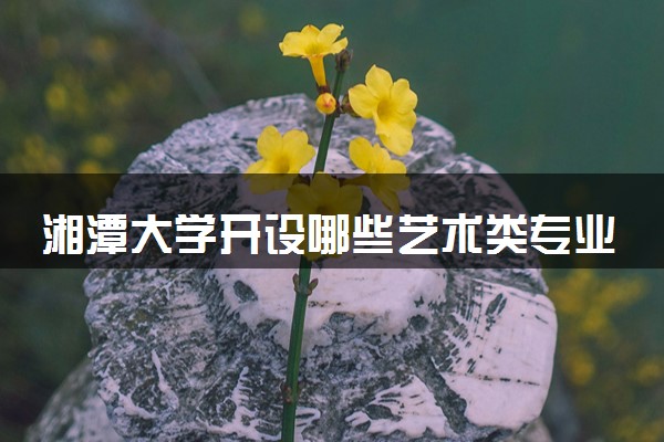 湘潭大学开设哪些艺术类专业 什么专业前景好