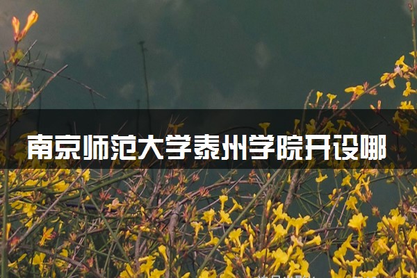 南京师范大学泰州学院开设哪些艺术类专业 什么专业前景好