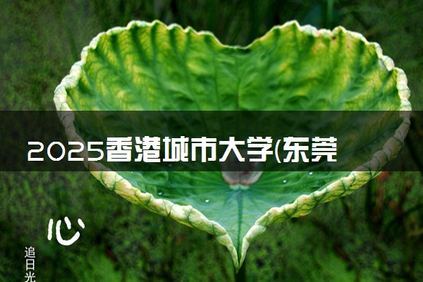 2025香港城市大学(东莞)录取分数线是多少 各省最低分数线汇总