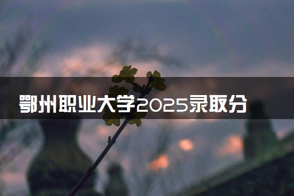 鄂州职业大学2025录取分数线整理 最低多少分可以考上