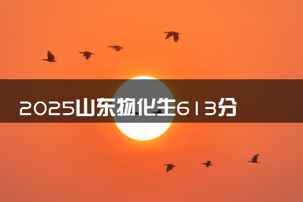 2025山东物化生613分左右能上什么大学 可以报考的院校名单