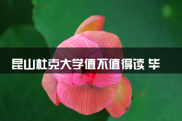 昆山杜克大学值不值得读 毕业后拿什么文凭