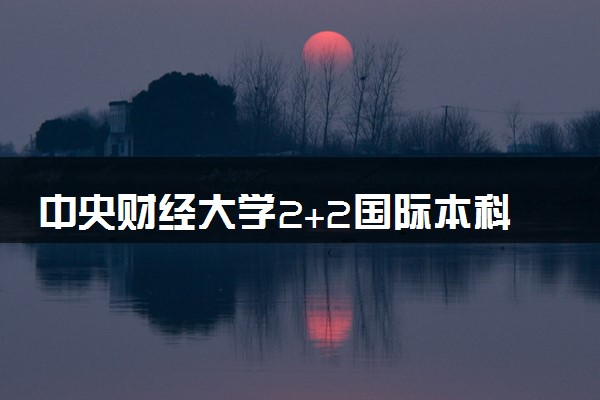 中央财经大学2+2国际本科咋样 读完有用吗