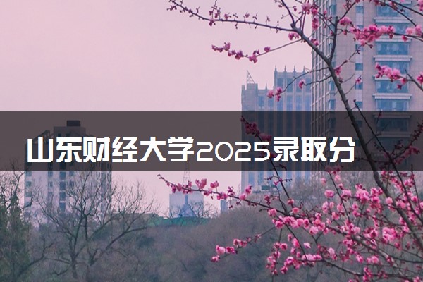 山东财经大学2025录取分数线整理 最低多少分可以考上