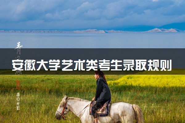安徽大学艺术类考生录取规则是怎样的 有哪些要求