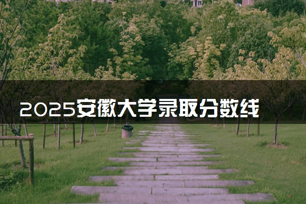 2025安徽大学录取分数线是多少 各省最低分数线汇总