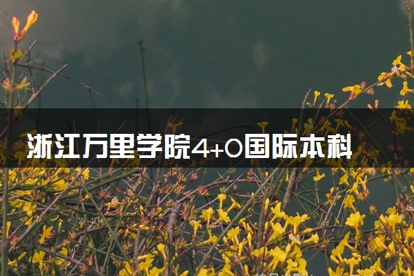 浙江万里学院4+0国际本科收费标准 学费多少钱