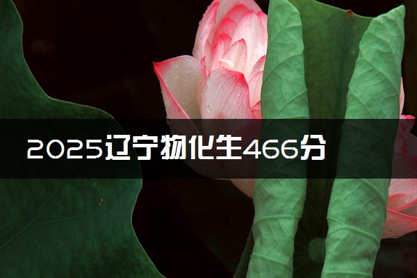 2025辽宁物化生466分左右能上什么大学 可以报考的院校名单