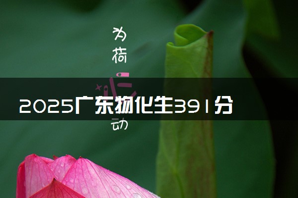 2025广东物化生391分左右能上什么大学 可以报考的院校名单