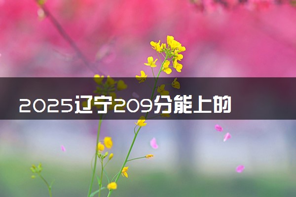 2025辽宁209分能上的大学有哪些 可以报考院校名单