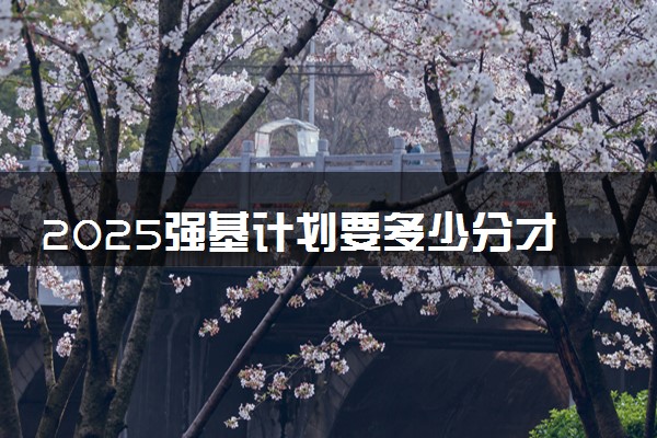 2025强基计划要多少分才可以录取 难不难考