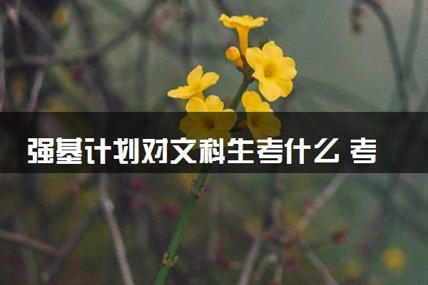 强基计划对文科生考什么 考试难度大吗