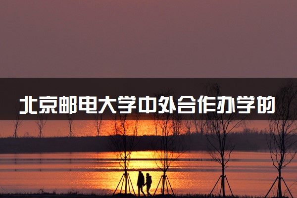 北京邮电大学中外合作办学的含金量 读完好找工作吗