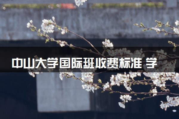 中山大学国际班收费标准 学费多少钱一年
