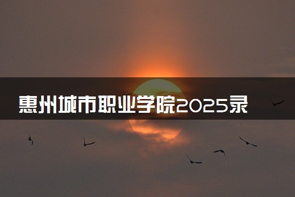 惠州城市职业学院2025录取分数线整理 最低多少分可以考上