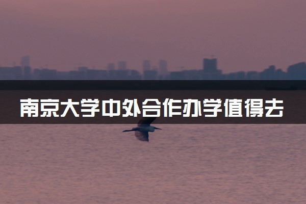 南京大学中外合作办学值得去读吗 有哪些优势