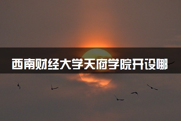 西南财经大学天府学院开设哪些艺术类专业 什么专业前景好