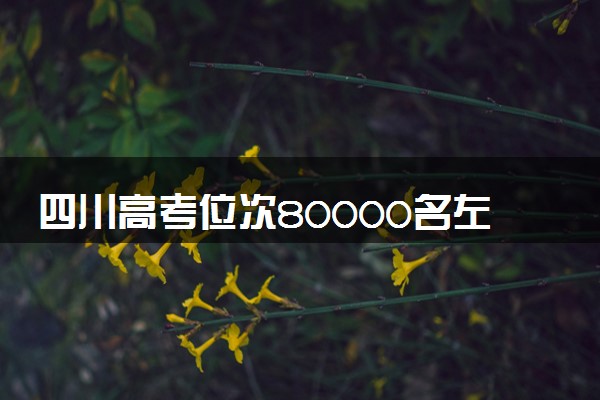四川高考位次80000名左右报什么大学好（2025年参考）