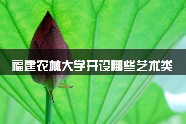 福建农林大学开设哪些艺术类专业 什么专业前景好