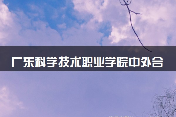 广东科学技术职业学院中外合办分数线 2025多少分能考上