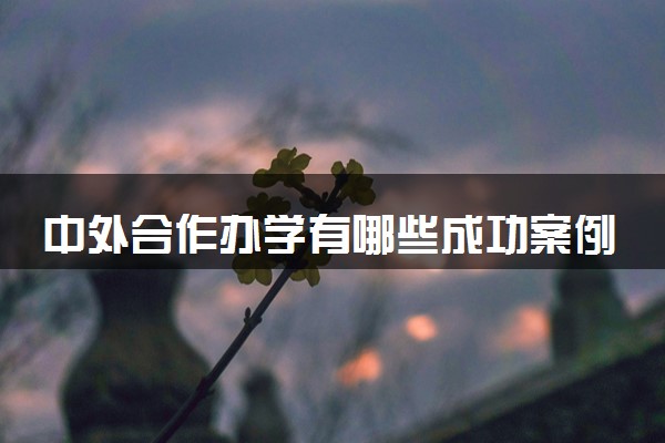 中外合作办学有哪些成功案例 如何规划留学路径