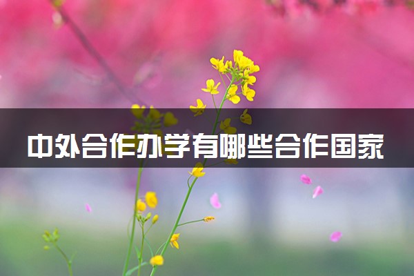 中外合作办学有哪些合作国家 如何选择留学国家