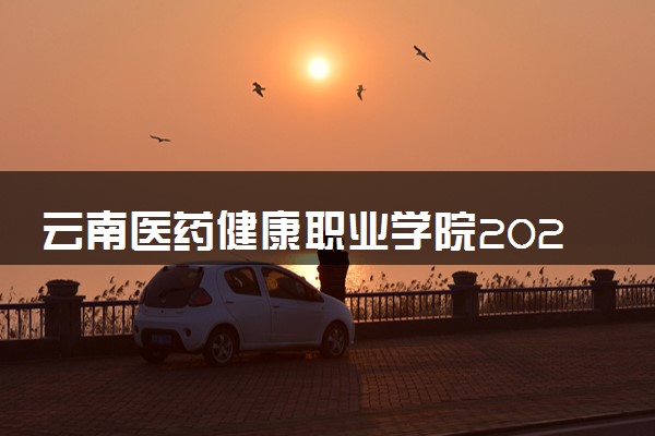 云南医药健康职业学院2025录取分数线整理 最低多少分可以考上