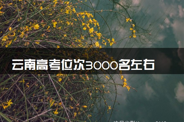 云南高考位次3000名左右报什么大学好（2025年参考）