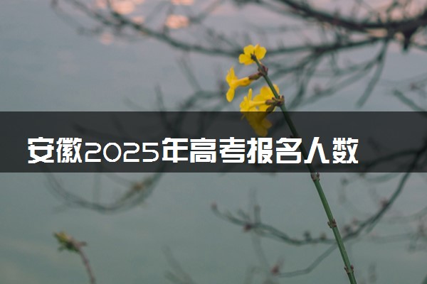 安徽2025年高考报名人数预测 将有多少考生参加高考