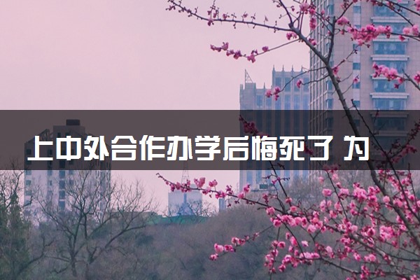 上中外合作办学后悔死了 为什么这样说