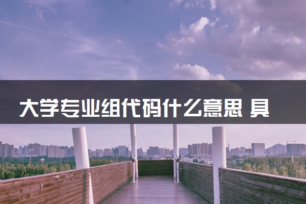 大学专业组代码什么意思 具体怎么查询