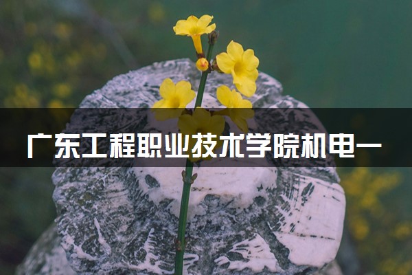广东工程职业技术学院机电一体化技术专业怎么样 录取分数线多少