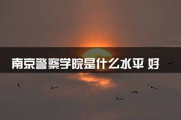 南京警察学院是什么水平 好不好考