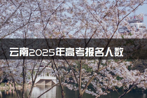 云南2025年高考报名人数预测 将有多少考生参加高考