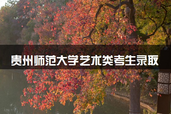 贵州师范大学艺术类考生录取规则是怎样的 有哪些要求