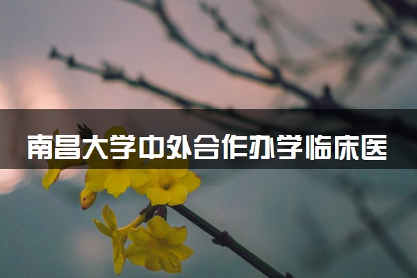 南昌大学中外合作办学临床医学咋样 值得读吗