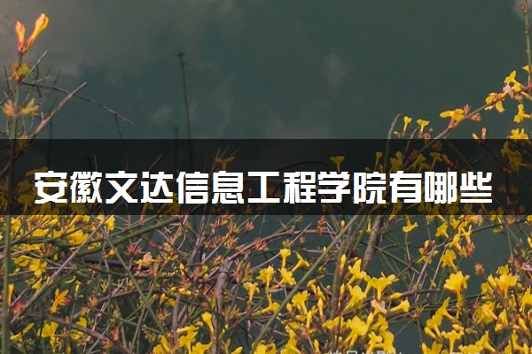 安徽文达信息工程学院有哪些热门专业 推荐的王牌专业