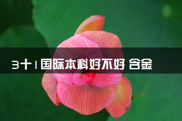3十1国际本科好不好 含金量咋样