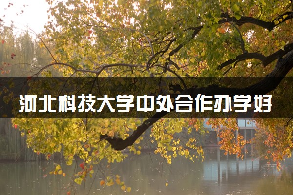 河北科技大学中外合作办学好吗 值得报考吗