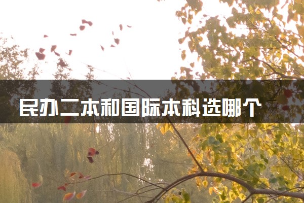 民办二本和国际本科选哪个 有什么区别