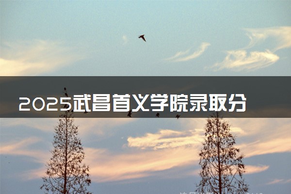 2025武昌首义学院录取分数线是多少 各省最低分数线汇总