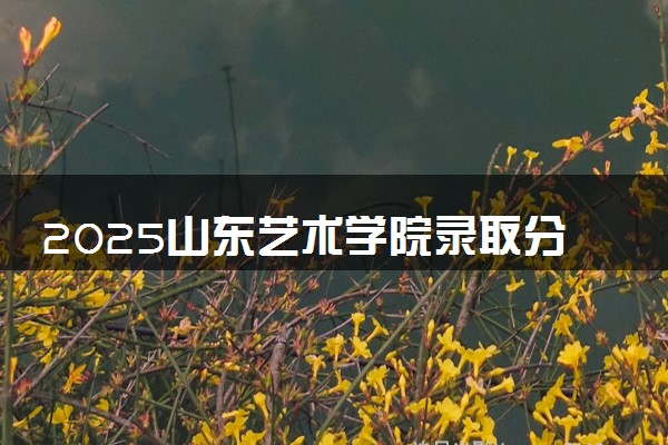2025山东艺术学院录取分数线是多少 各省最低分数线汇总