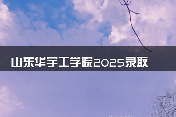 山东华宇工学院2025录取分数线整理 最低多少分可以考上