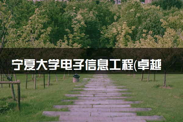 宁夏大学电子信息工程（卓越工程师）专业怎么样 录取分数线多少