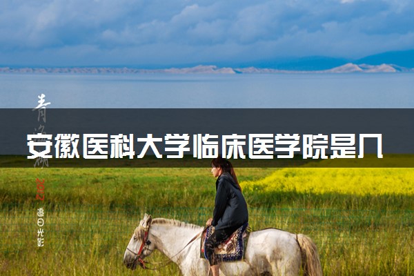 安徽医科大学临床医学院是几本 是一本还是二本大学